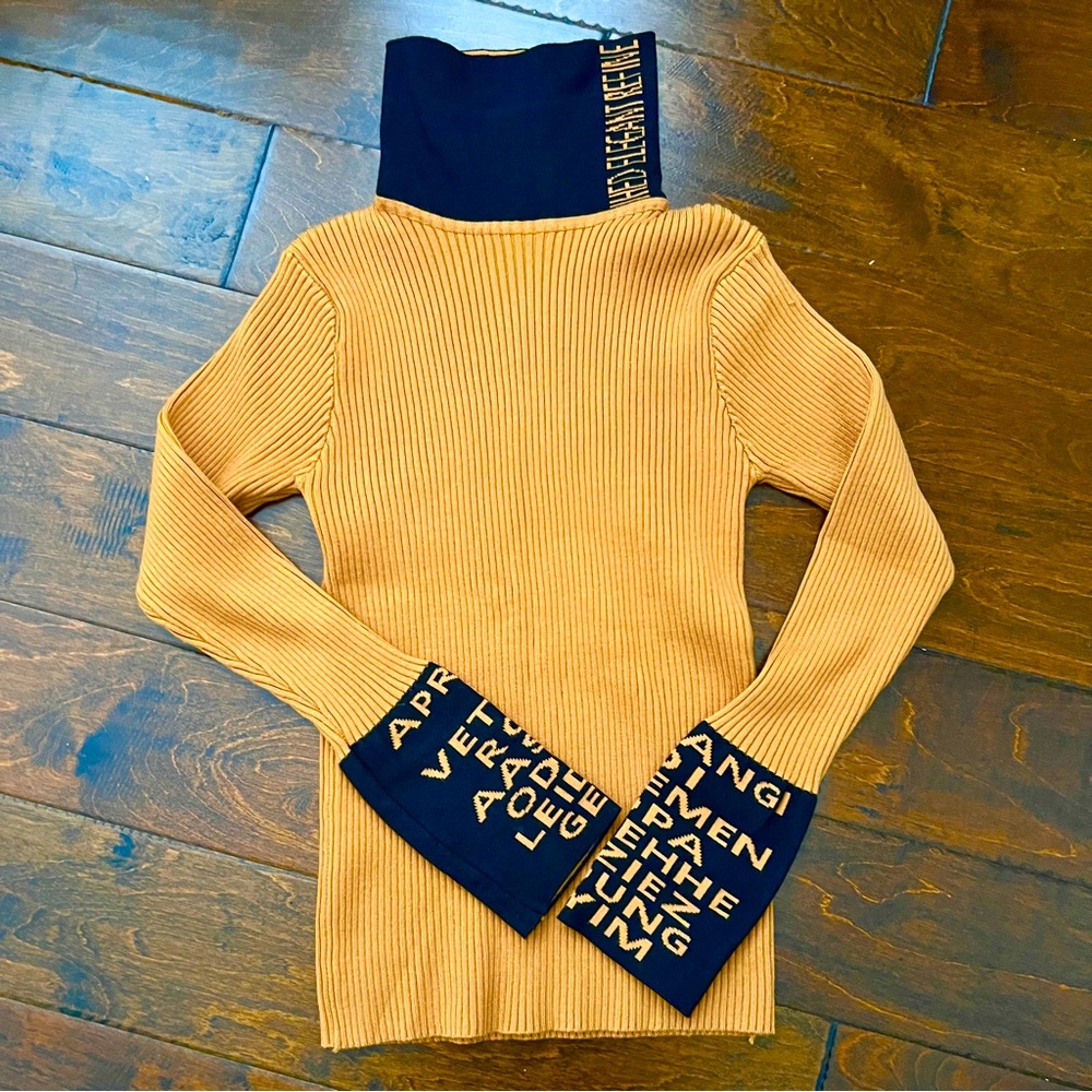 Pumpkin and black ribbed turtle neck